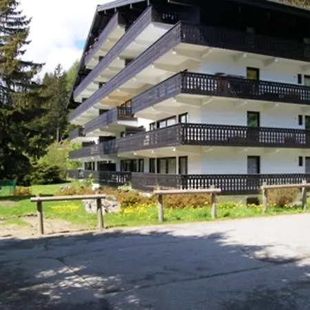 Appartement Résidence Androsace 31 Happy Chamonix