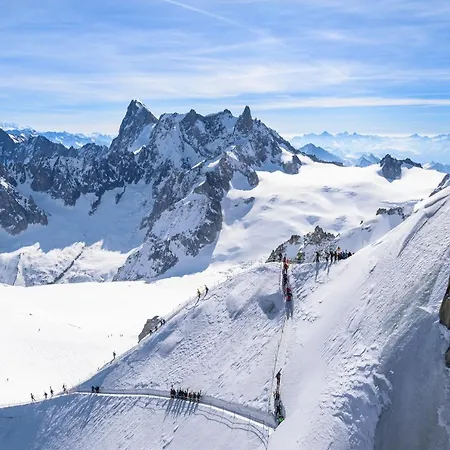 Résidence Androsace 31 Happy Appartement Chamonix