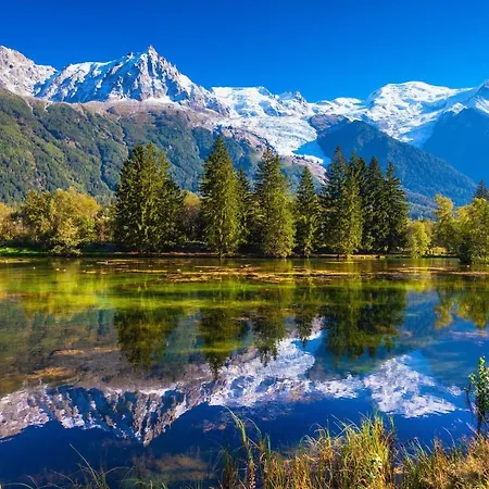 Androsace 31 Happy Apartman Chamonix